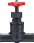 Globe Valve