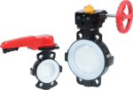 Type-55 Butterfly Valve