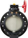 Type-56D Butterfly Valve