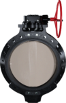 Type-58 Butterfly Valve